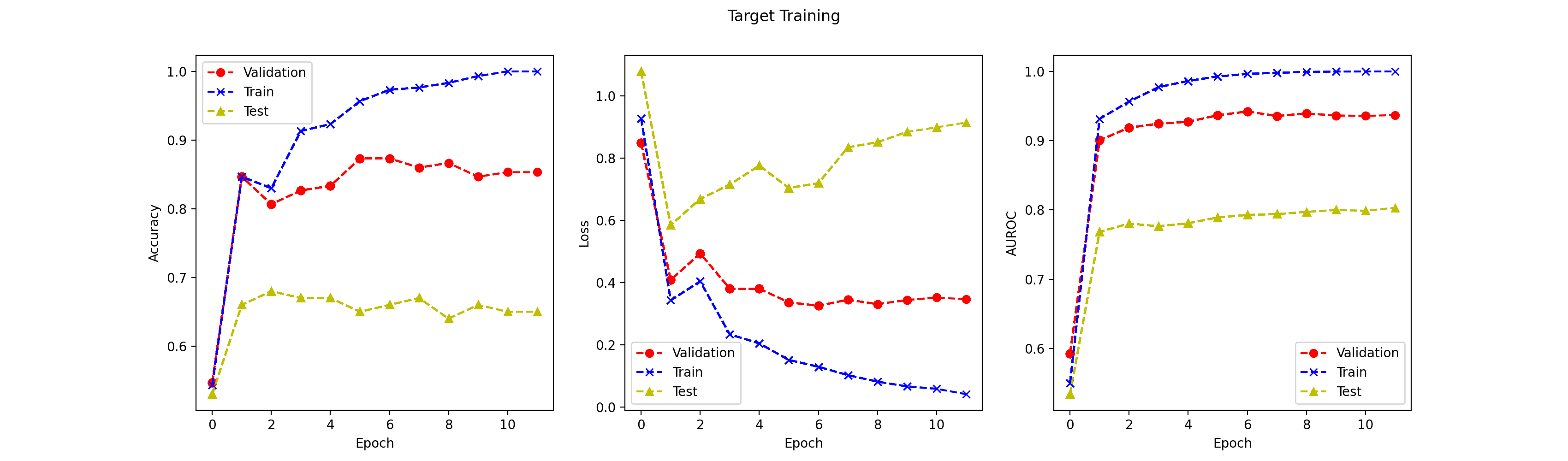 Training plot of CNN with transfer learning